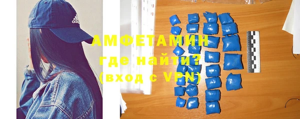 амф Ельня