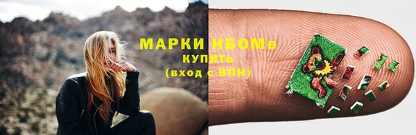 амф Ельня