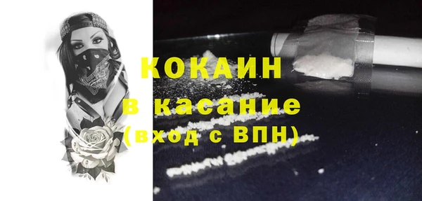 амф Ельня