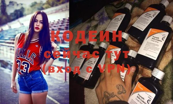 тгк Елизово