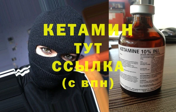 амф Ельня