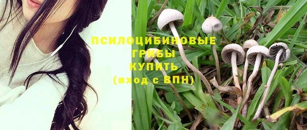 тгк Елизово