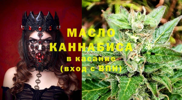 амф Ельня