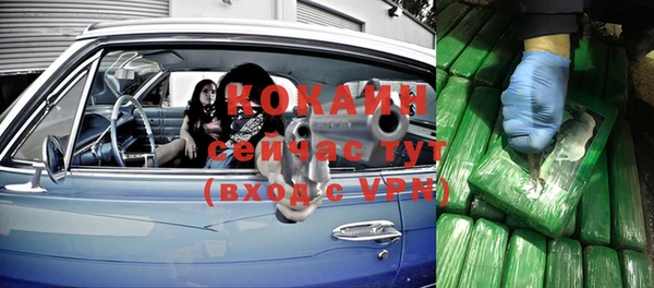амф Ельня