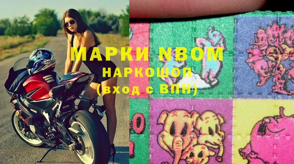 амф Ельня
