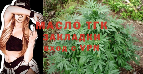 тгк Елизово
