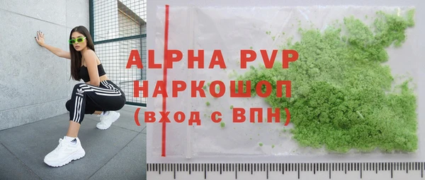 амф Ельня